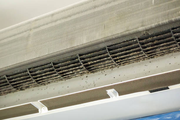 Best General Air Duct Cleaning  in Ashwaubenon, WI